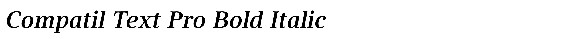 Compatil Text Pro Bold Italic image